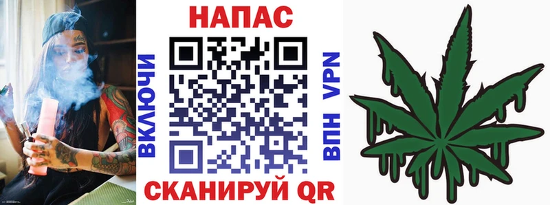 Конопля Губкин