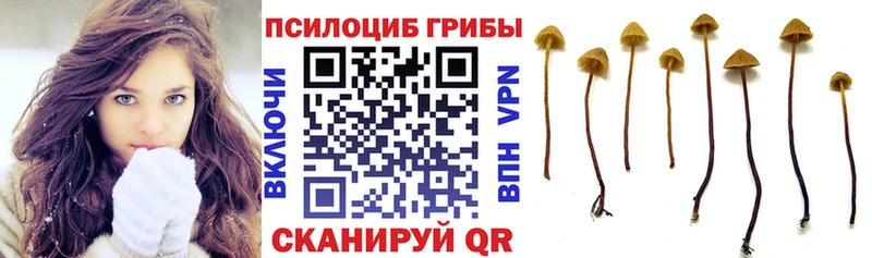 Псилоцибиновые грибы мухоморы  Губкин 