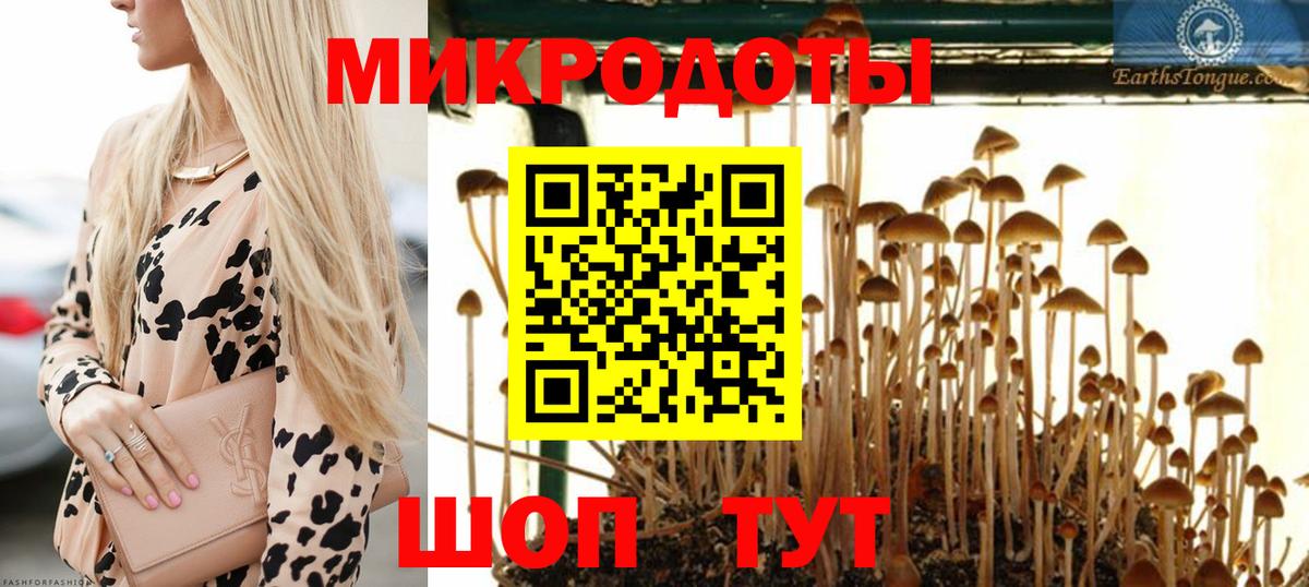 Галлюциногенные грибы MAGIC MUSHROOMS  Вход с VPN  Галлюциногенные грибы ЛСД  Губкин 