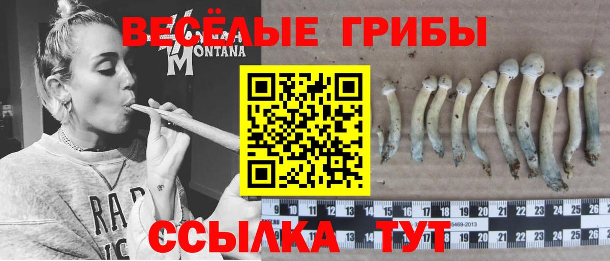 Галлюциногенные грибы мухоморы Губкин